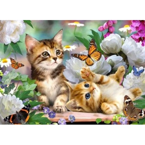 Katzen & Schmetterlinge