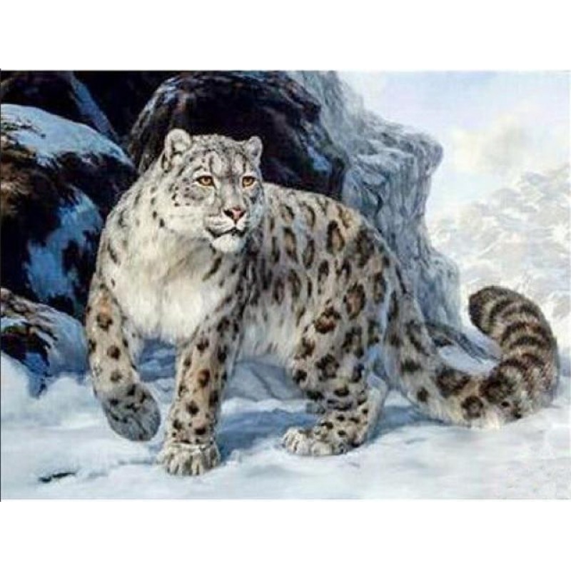 Leoparden-Sammlung D...