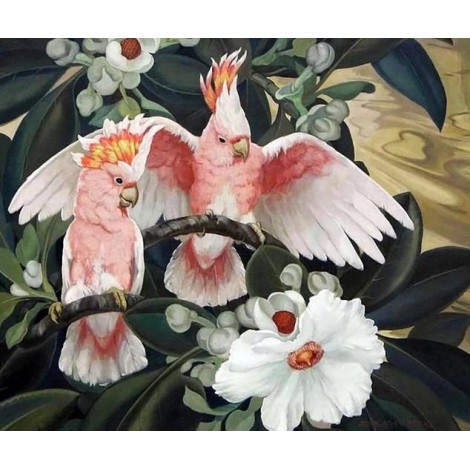 Nymphensittich Papageien & Blumen