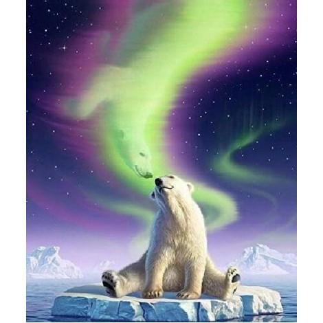 Polarbär Nordlichter Fantasie
