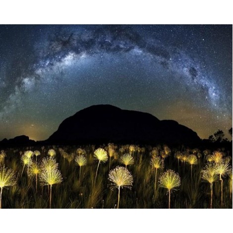 Traum Nachthimmel & magische Blumen