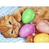Entzückende Katze mit Ostereiern