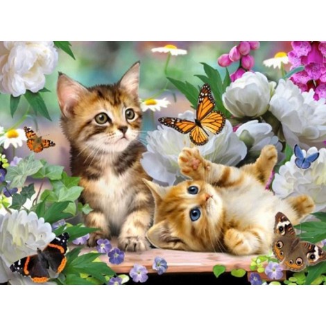 Kätzchen, Blumen & Schmetterlinge
