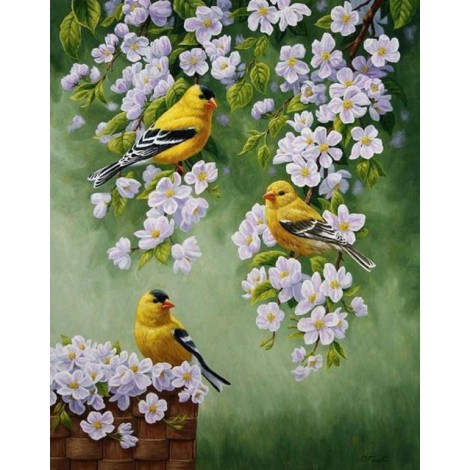 Gelbe Vögel & weiße Blumen